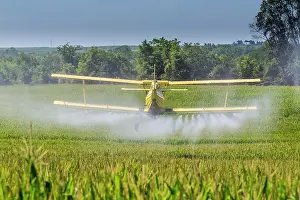 Chemicals: A crop duster applies chemicals to a field of ve