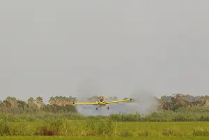 Duster: Crop duster plane flying low while spraying an anti