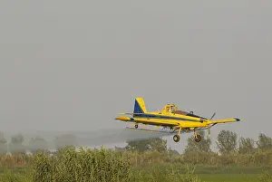 Duster: Crop duster plane flying low while spraying an anti