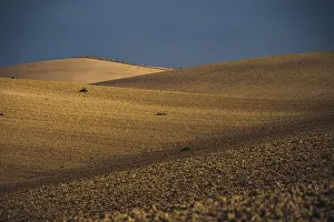 Located: Cropland located on hills, Southern Italy, Italy