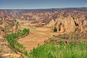 Terrain: Crops and trees at Yellow River Valley