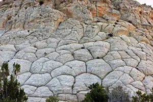 Fossilised: Cross-bedded Navajo sandstone rock (fossilised