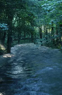 Pound: Cross River, New York