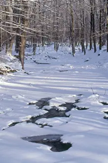 Pound: Cross River, New York