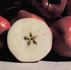 Apples: Cross-section of apple