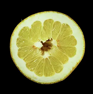 Maxima: Cross-section of a Pomelo