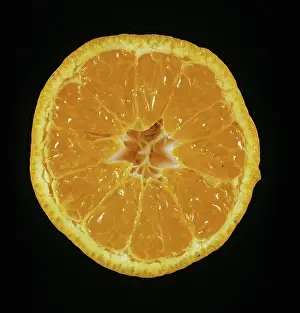 Skinned: Cross section of Satsuma Orange