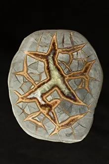 Nodules: Cross-Section Utah Septarian Nodule