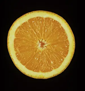 Seedless: Cross section of Verna Orange