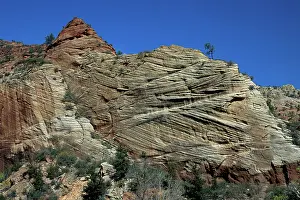 Zion: Crossbedding, Utah