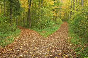 Directions: crossroads - showing fork in path where a country