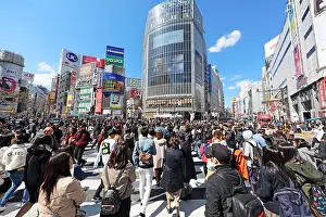 Shibuya: Crowds crossing the Shibuya pedestrian crossing