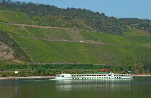 Bachmann: Cruise ship on the Rhine river near village