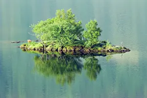 Fells: Crummock Water - reflections