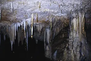Dripstone: Crystal Caves, Bermuda