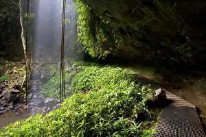 Overhang: Crystal Falls, Wonga Walk, Dorrigo National