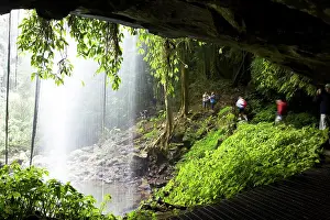 Overhang: Crystal Falls, Wonga Walk, Dorrigo National