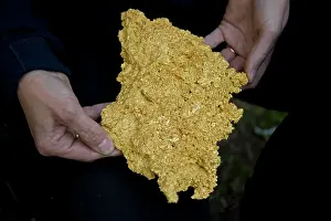 Evironment: Crystalline Gold Specimen - 96 ounces