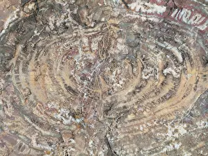 Embedded: Crystals embedded in the logs of Petrified Wood
