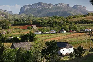 Smoking: Cuba, Pinar del Rio Province, Vinales, Vinales