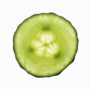 Cucumis: Cucumber