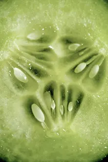 Cucumis: Cucumber