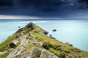Heathers: Cudden Point - looking to Land's End