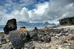 Armeria: Cullins - from Elgol Beach