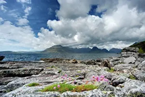 Armeria: Cullins - from Elgol Beach with Thift
