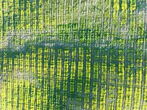 Weird: Cultivated land. Aerial view. Drone shot. C diz