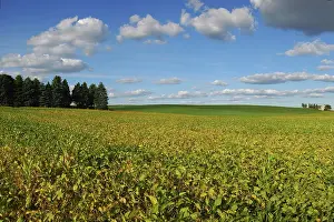 Wisconsin: Cultivated landscape, Oconomowoc, Wisconsin, USA