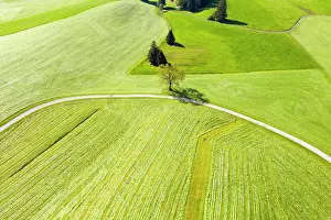 Mowed: Cultural landscape, mowed meadows, near Hopferau