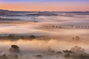Lights: Cultural landscape at sunrise, morning fog shines in the first light