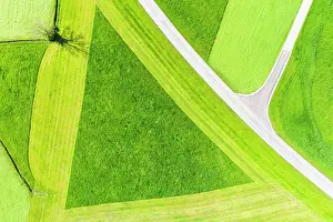 Triangle: Cultural landscape, triangle in partially mowed