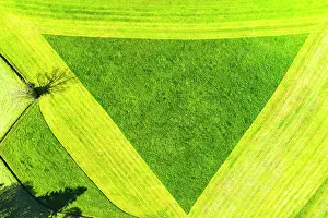 Triangle: Cultural landscape, triangle in partially mowed