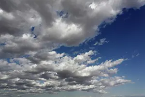 Cumulus: Cumulus cloud formation, Samburu Game Reserve