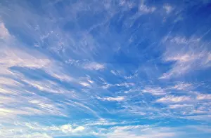 Puff: Cumulus cloud pattern