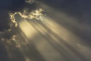 Streaming: Cumulus cloud and rays of sunlight in the evening