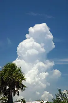Calvus: Cumulus storm cloud developing over ocean