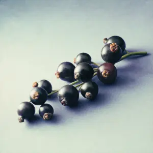 Currant: Currant, Blackcurrant