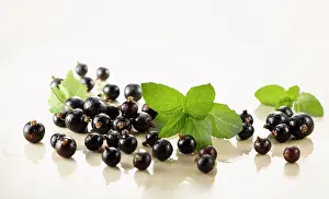 Currant: Currant, Blackcurrant, Ribes nigrum. Several berries