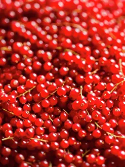 Flavoring: Currant, Redcurrant, Ribes rubrum, Top view of a