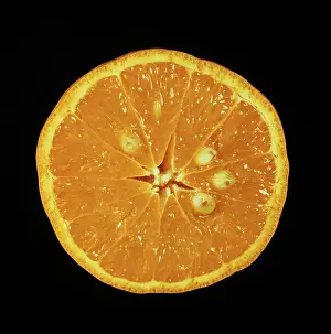 Kara: Cut Kara mandarin