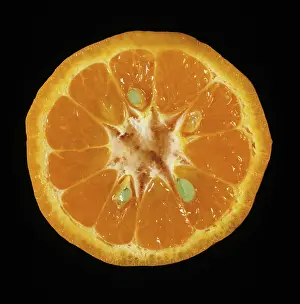 Pips: Cut Kinnow mandarin