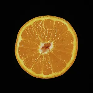 Tangerine: Cut Minneola tangelo