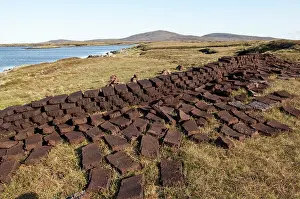 Fires: Cut peat - left to dry for domestic fires