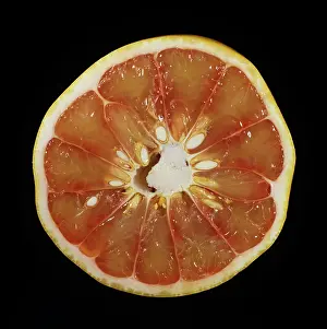 Maxima: Cut Pink-fleshed pomelo