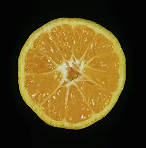 Skinned: Cut Satsuma Mandarin