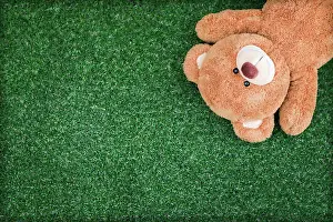 Vintage: Cute teddy bear on green grass background