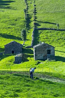 Cutting: Cutting the grass, Caba&, x61830;asiega and meadows